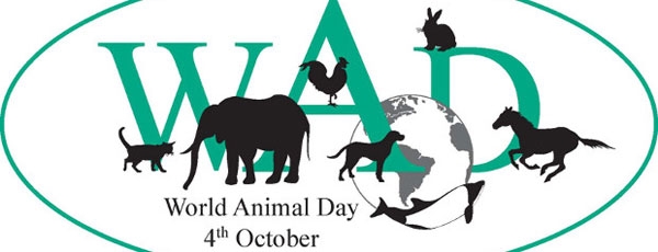 4 Οκτωβρίου: Παγκόσμια Ημέρα των Ζώων