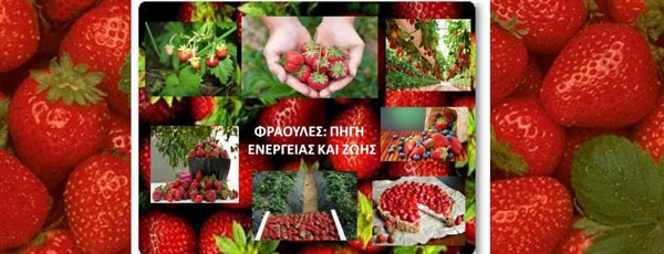 Φράουλες:πηγή ενέργειας και ζωής